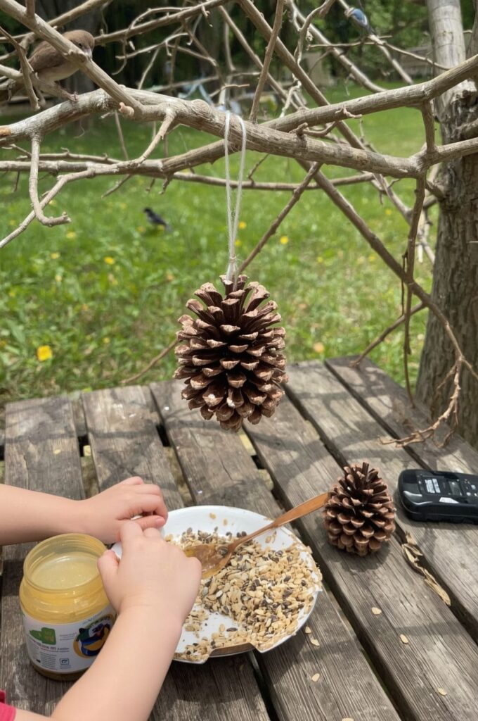 DIY Bird Feeder Craft