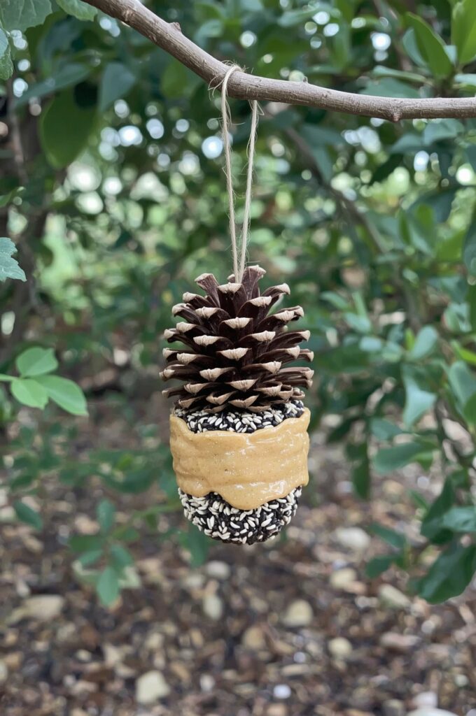 DIY Bird Feeder for Mom’s Garden