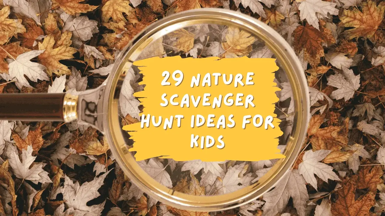 29 Nature Scavenger Hunt for Kids